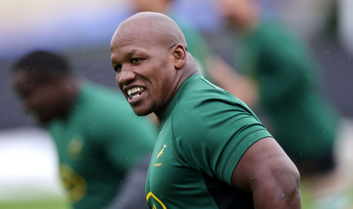 South Africa ace accused of racial slur in the direction of England participant learns World Cup closing destiny | Rugby | Sport