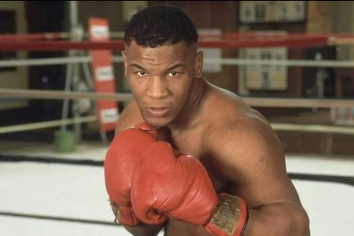 Boxing: Mike Tyson’s wink to Muhammad Ali along with his Halloween costume: Bee the power that can not be stopped
