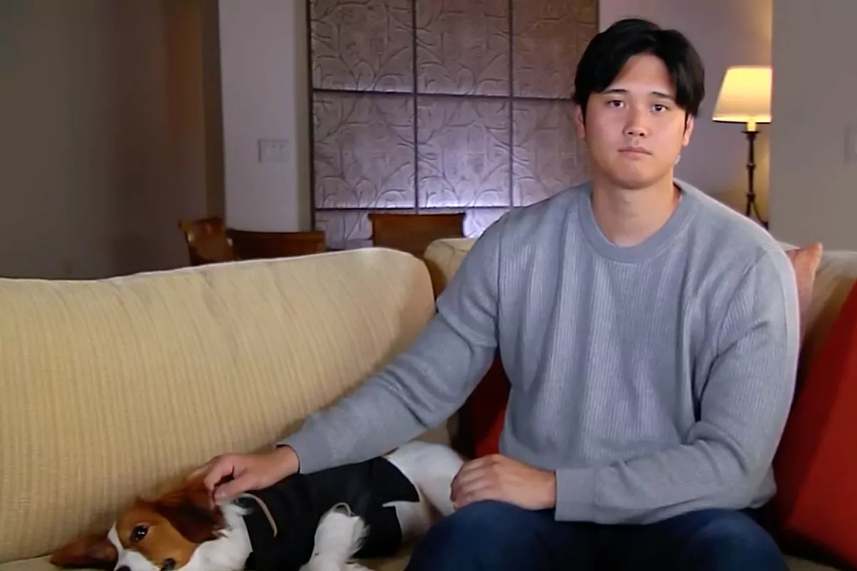 Shohei Ohtani’s pet is the true MVP, steals highlight with a cute high-five