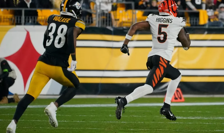 Bengals make choice on Tee Higgins’ future with the workforce after a lot hypothesis