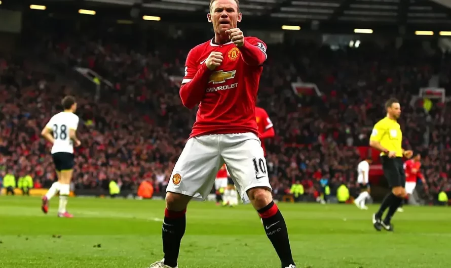 Might Wayne Rooney struggle Zlatan Ibrahimovic? Doable boxing match between the ex-footballers