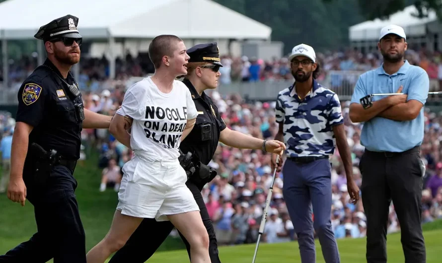 Police physique slam PGA Tour protestors interrupting Scottie Scheffler’s profitable putt on 18th gap